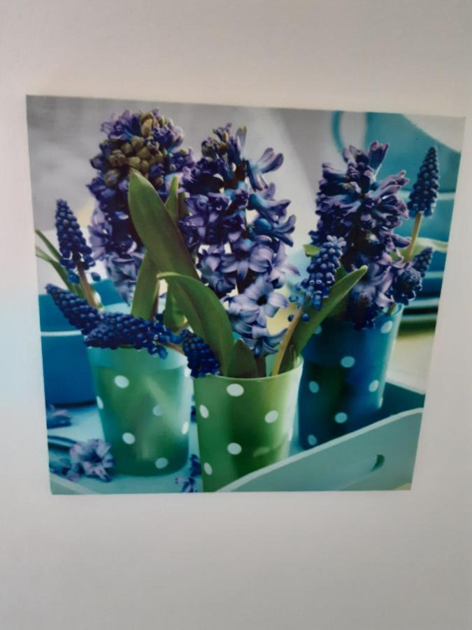 Hombourg(La Parenthese)アパートメント エクステリア 写真